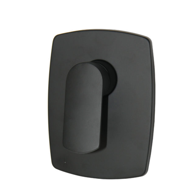 Picture of Spring Tide Concealed Mixer Matt Black